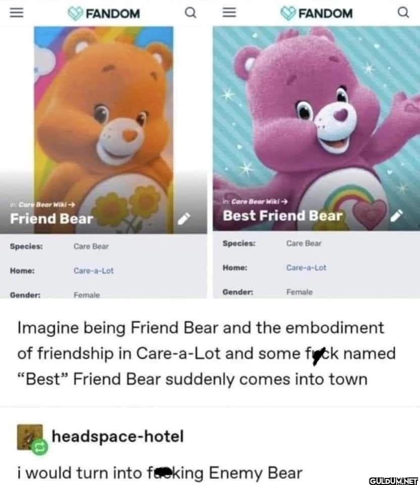 FANDOM Friend Bear Species...