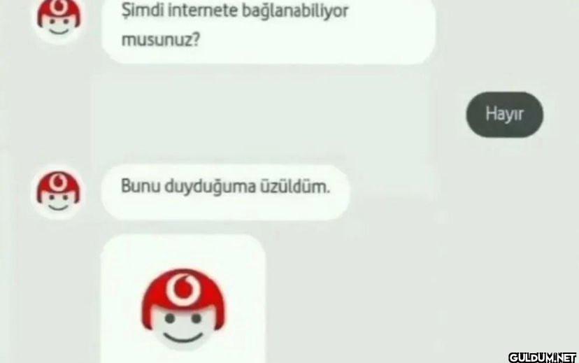 Şimdi internete...