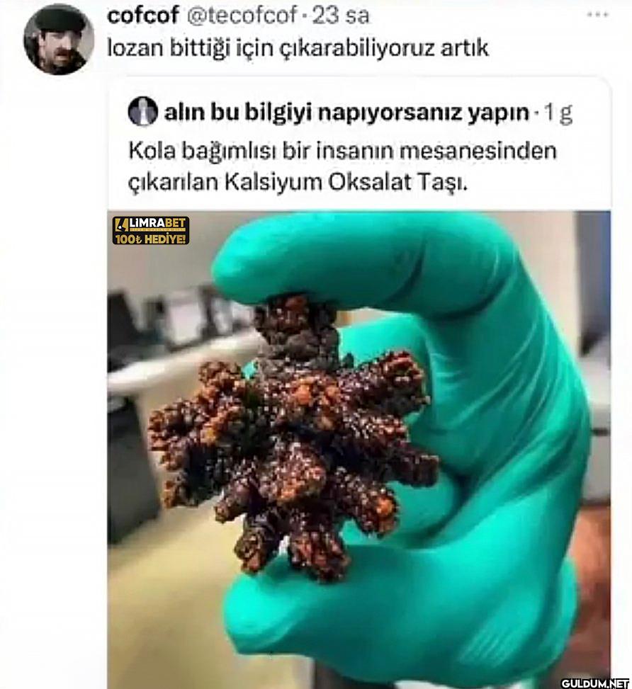 sa lozan bittiği için...