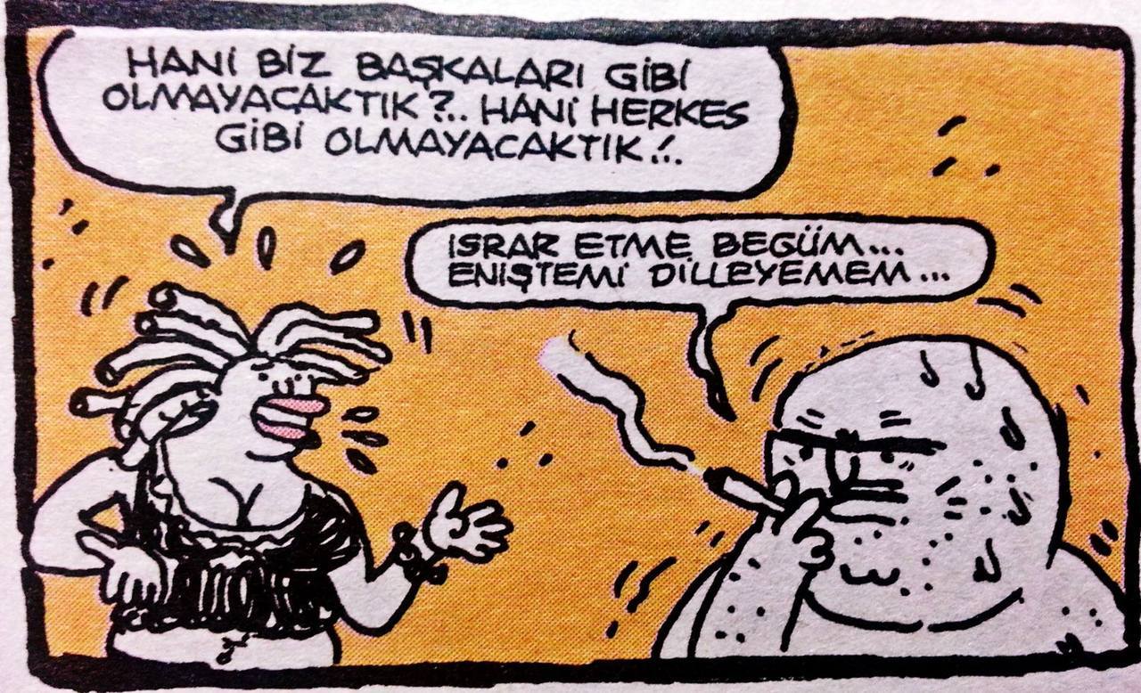 - Hani biz başkaları gibi...