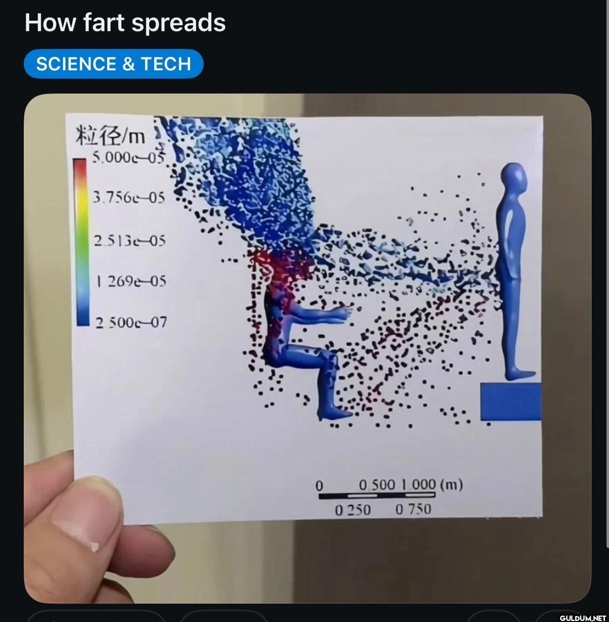 How fart spreads SCIENCE &...