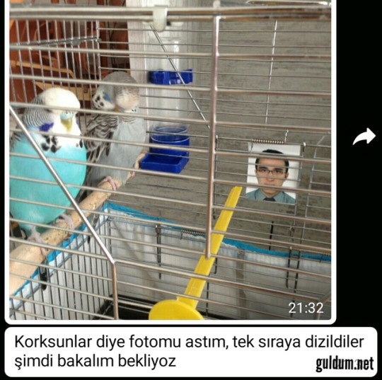 Anlamsız fotoğraflarda...