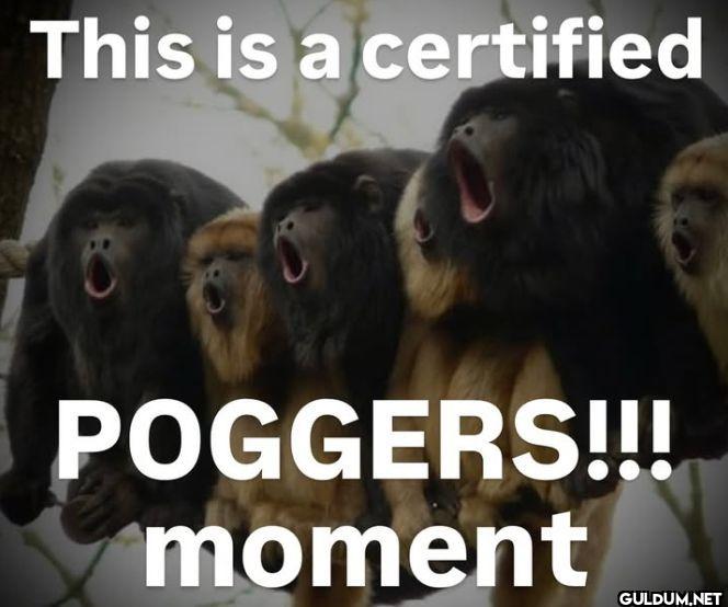 This is a certified...