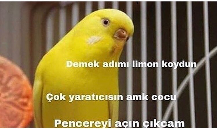 Demek adimi limon...