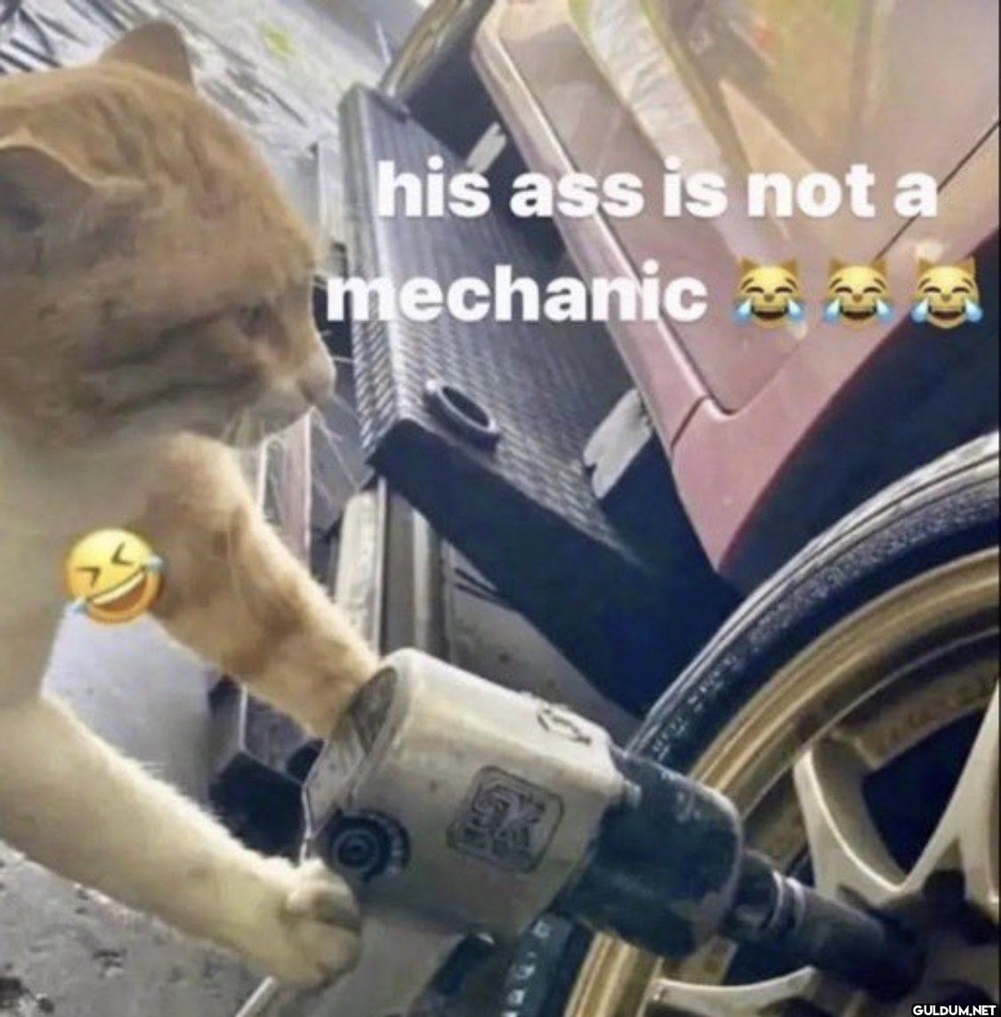 his ass is not a mechanic