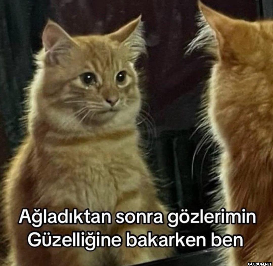 Ağladıktan sonra...