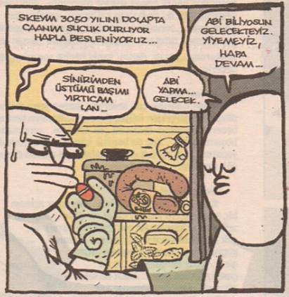 SKEvM 3050 YILINI...