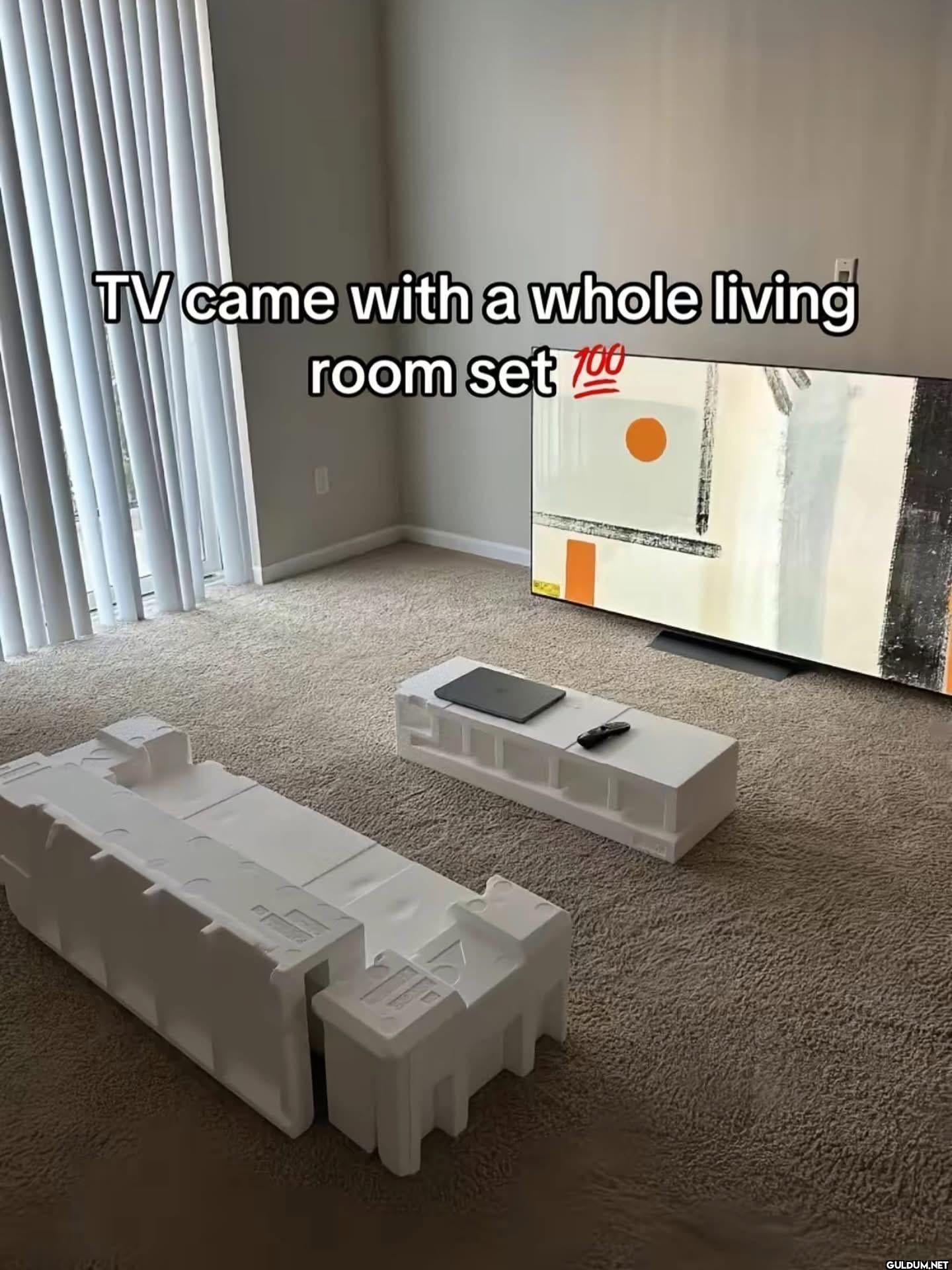 TV came with a whole...