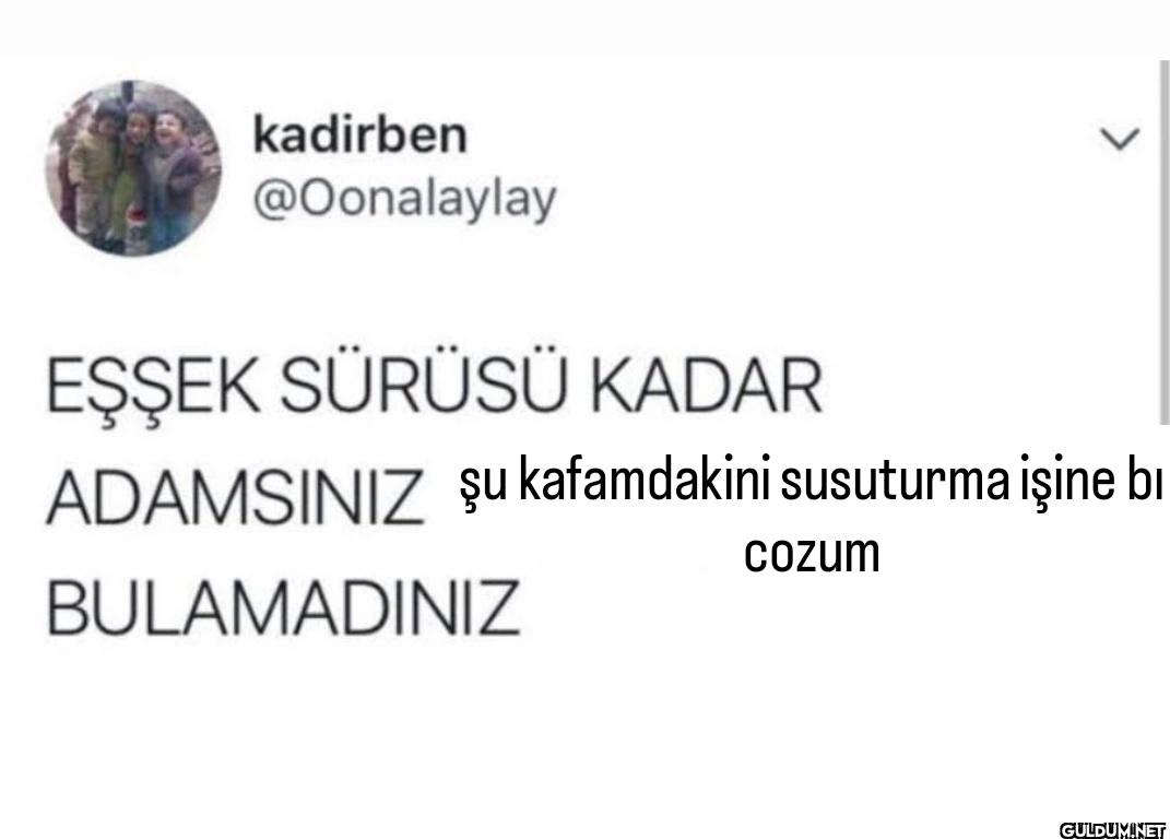 EŞŞEK SÜRÜSÜ KADAR >...