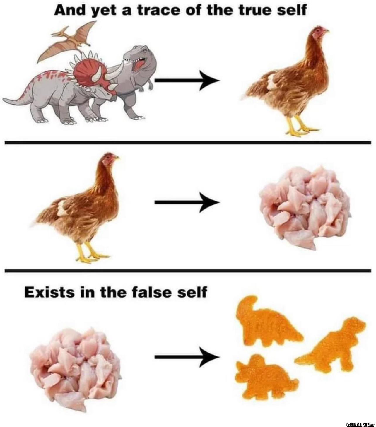 Popular post