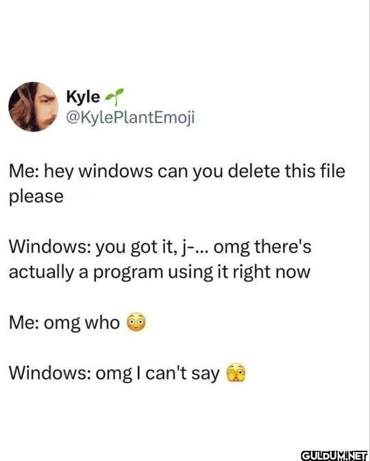 Me hey windows can you...