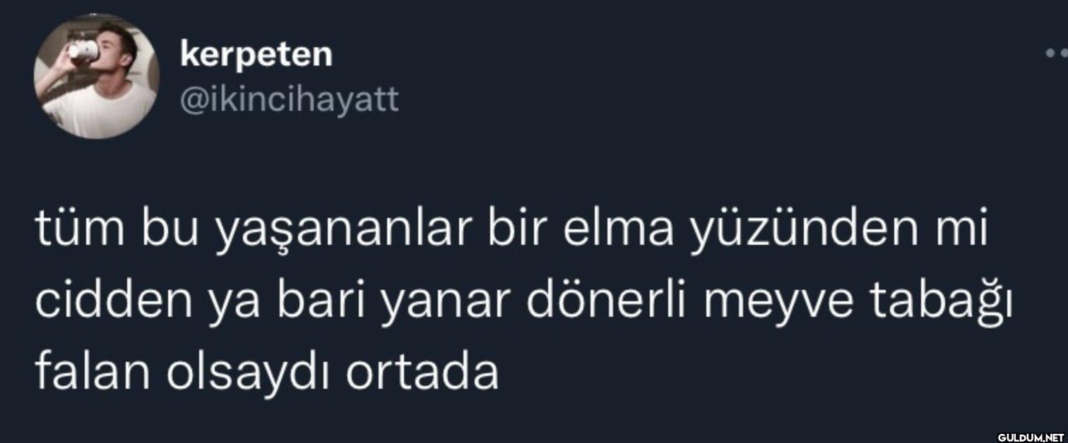tüm bu yaşananlar bir elma...