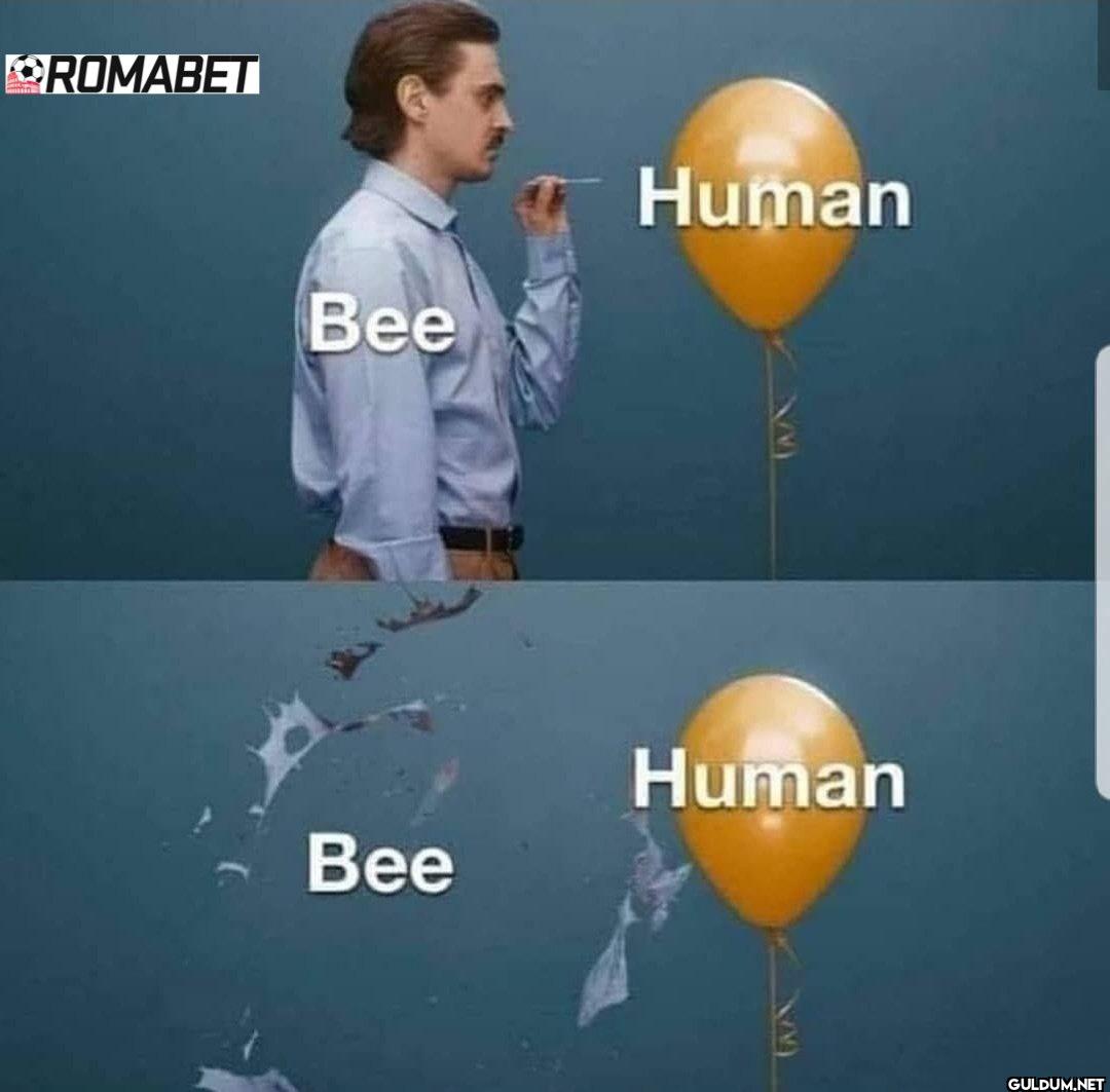 ROMABET Bee Human W Bee Human W
