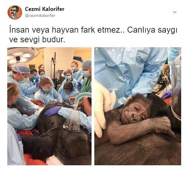 Cezmi...