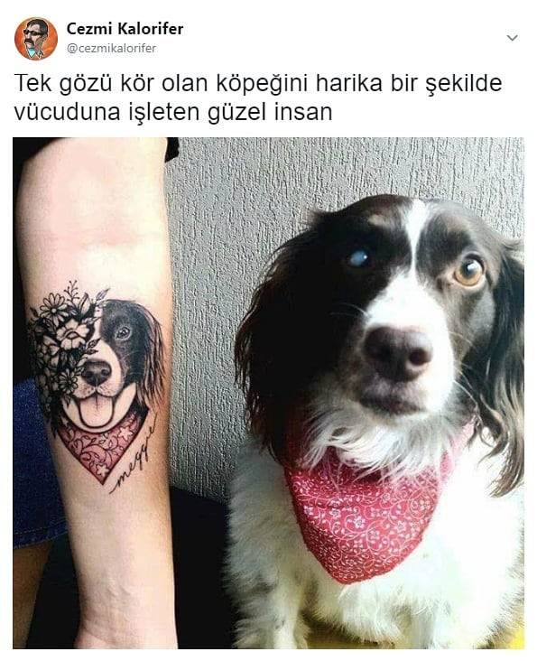 Q)
Tek gözü kör olan...
