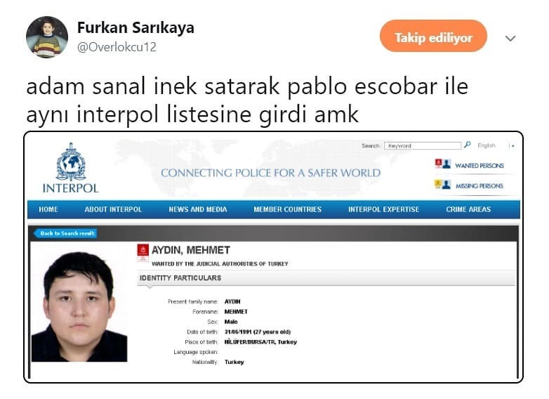 adam sanal inek satarak...