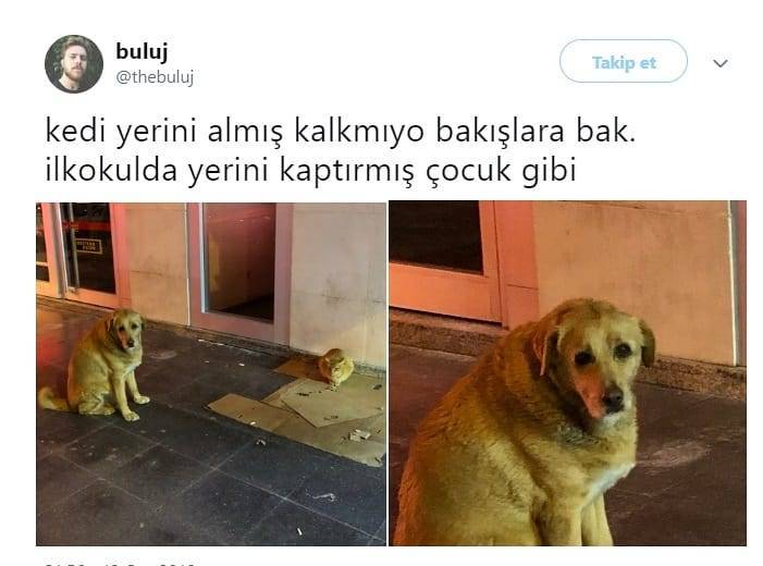 buluj
@thebuluj
Takip...