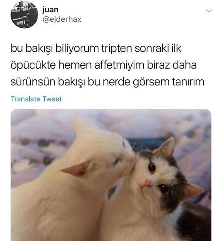 juan
@ejderhax
bu bakışı...
