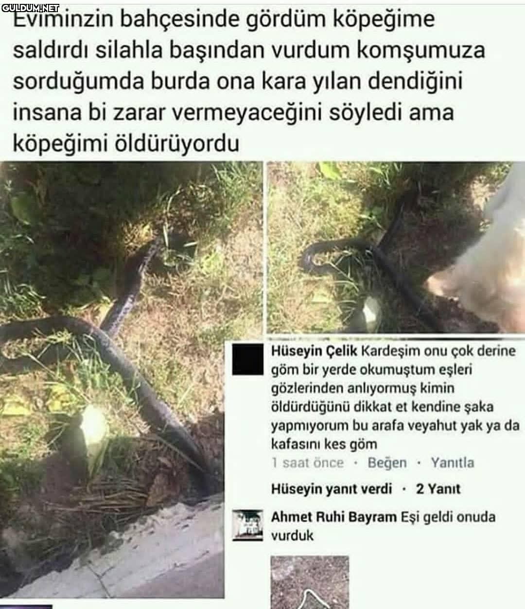 - Eviminzin bahçesinde...