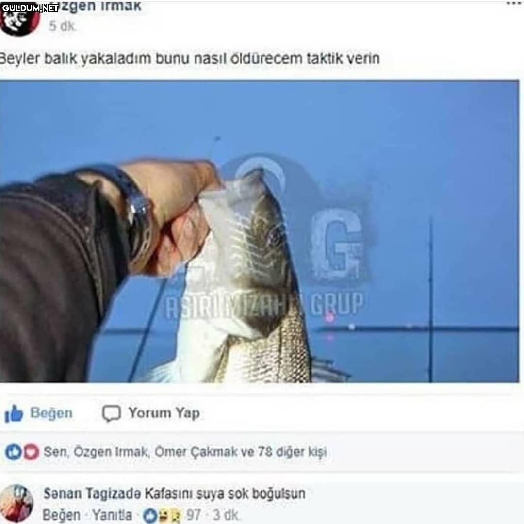 Beyler balik yakaladım...