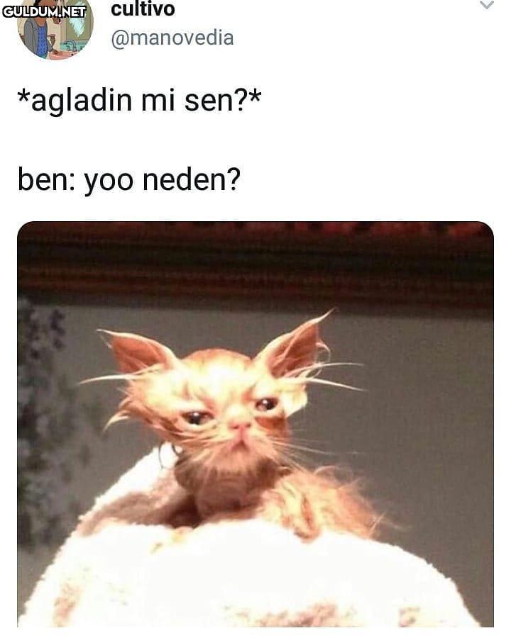 cultivo
@manovedia
*agladin...