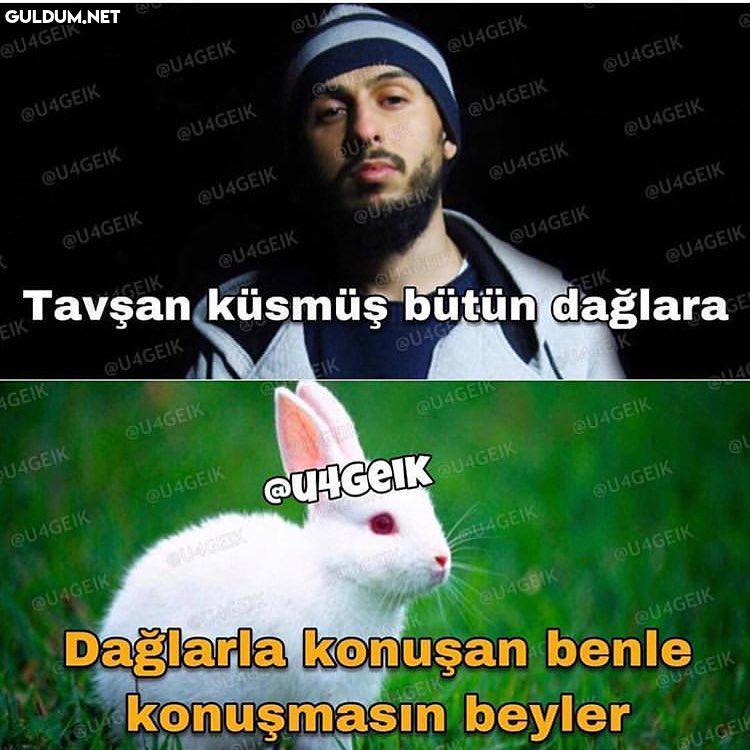 UAGEIK
QUAGEIK
OU4GEIK
U4GE...