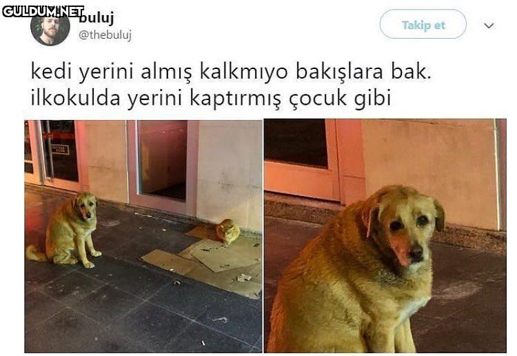 buluj
Takip...