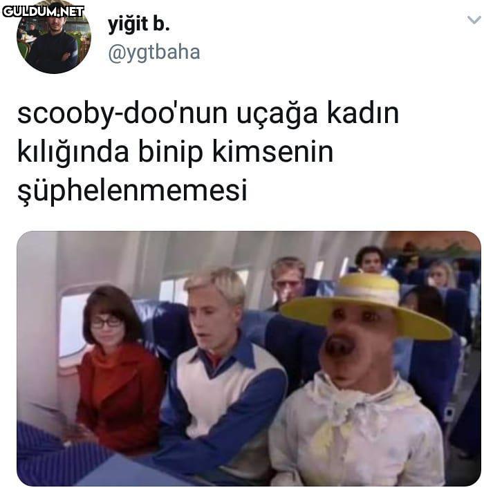 scooby-doonun uçağa...