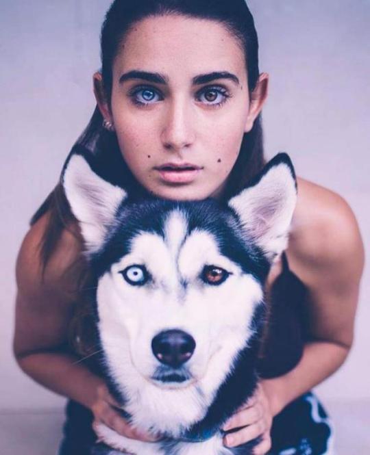 Heterokromiya köpek ve sahibesi.