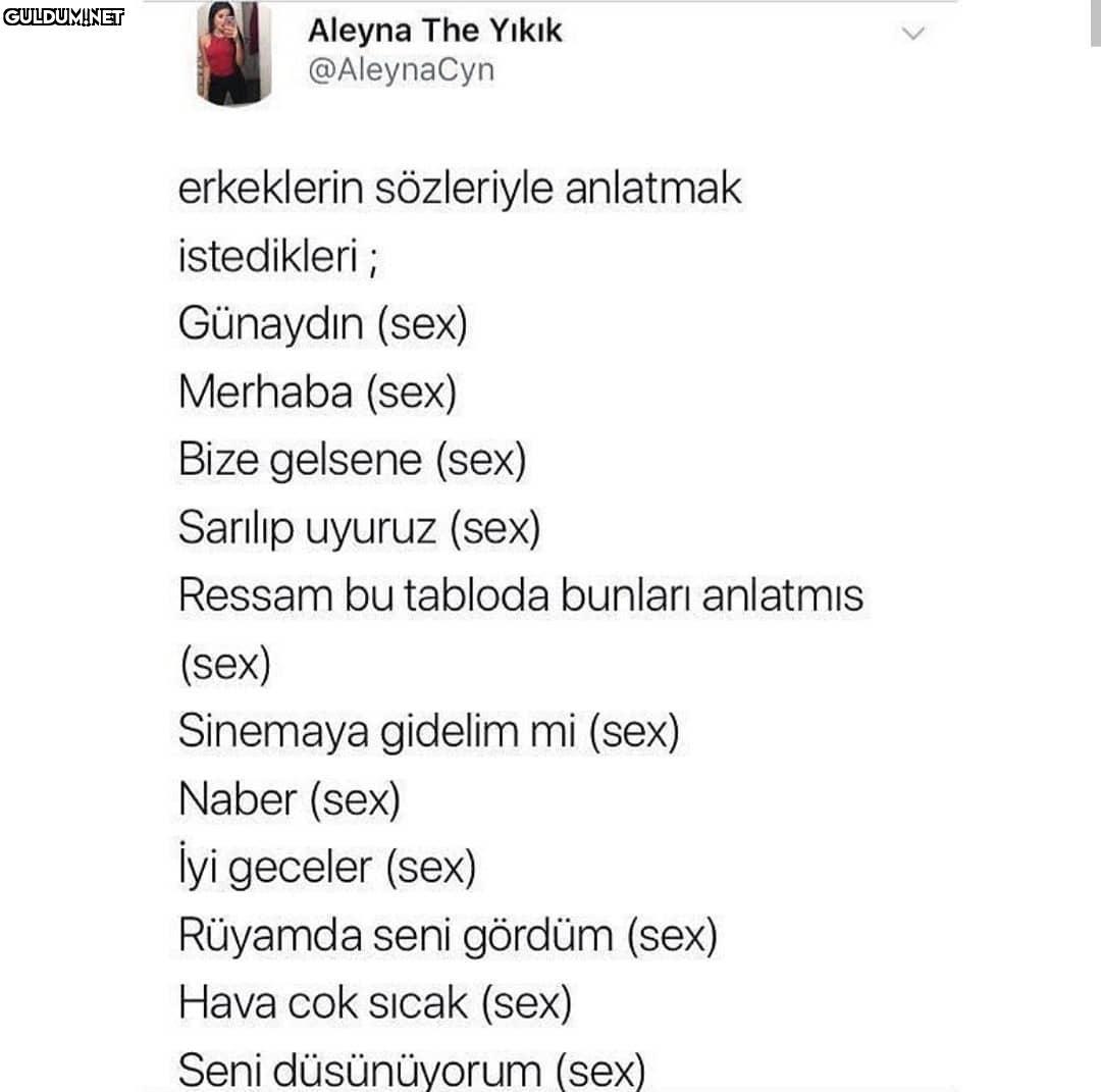 Aleyna The...