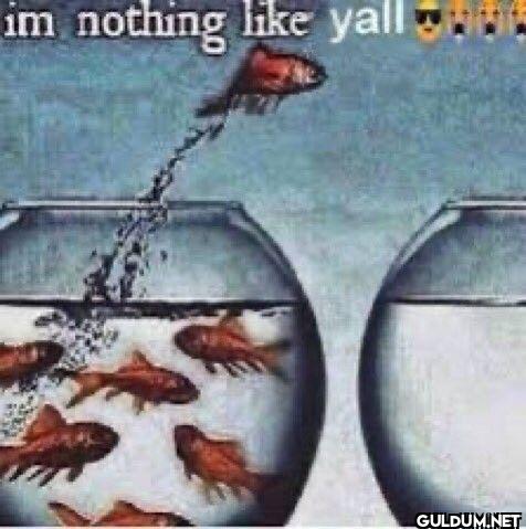 im nothing yall