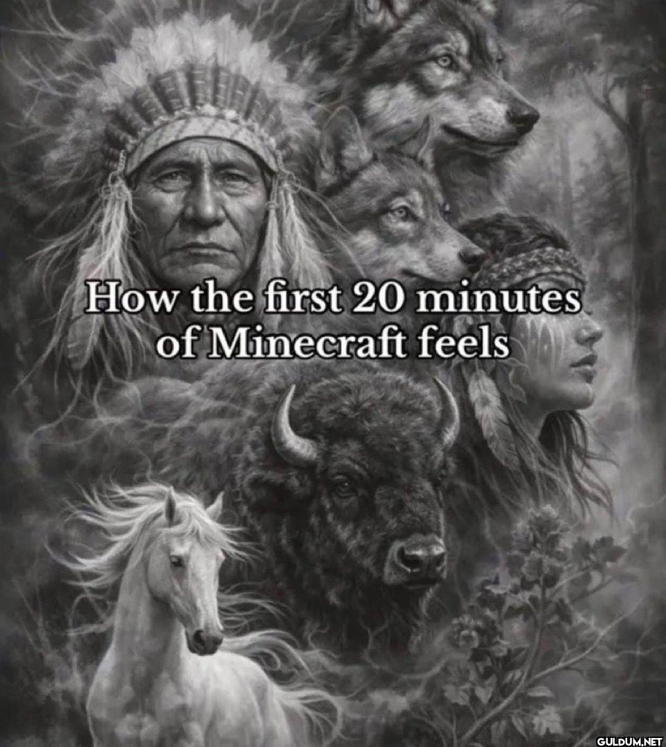 How the first 20 minutes...