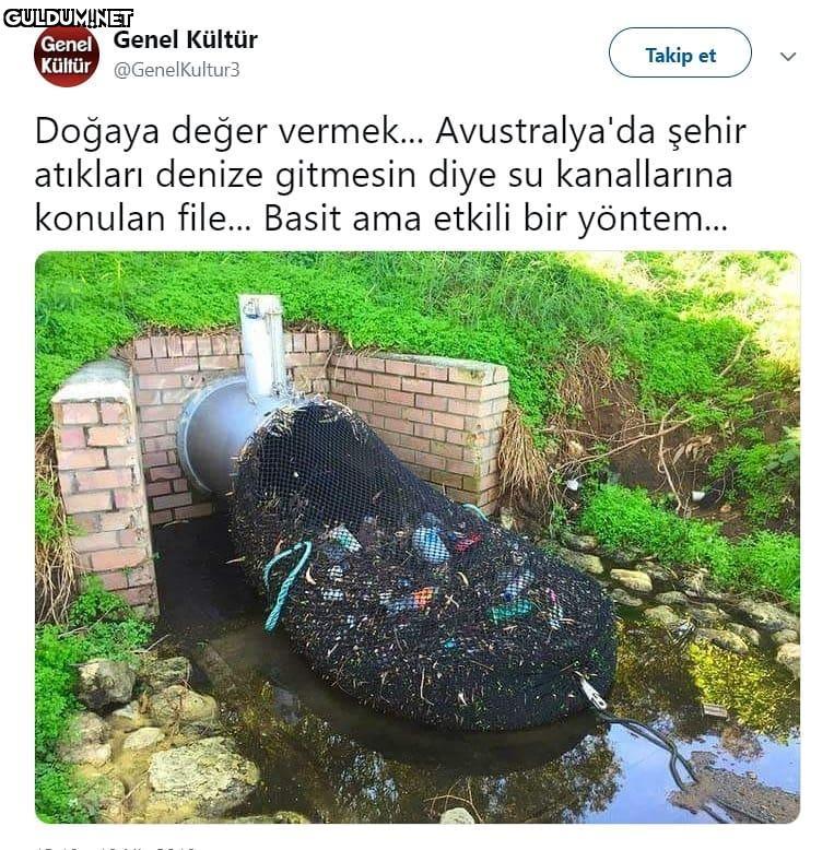 Genel...