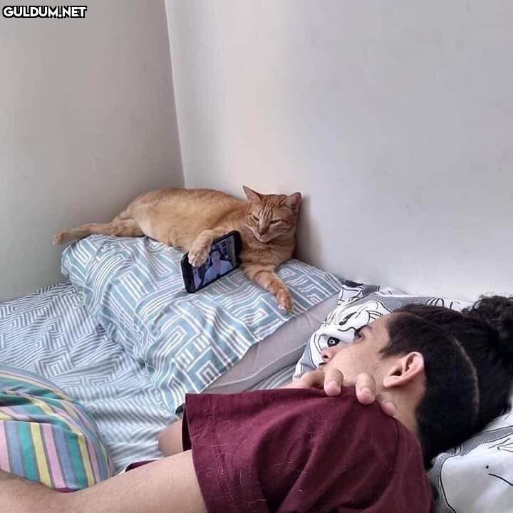 tag your best friends