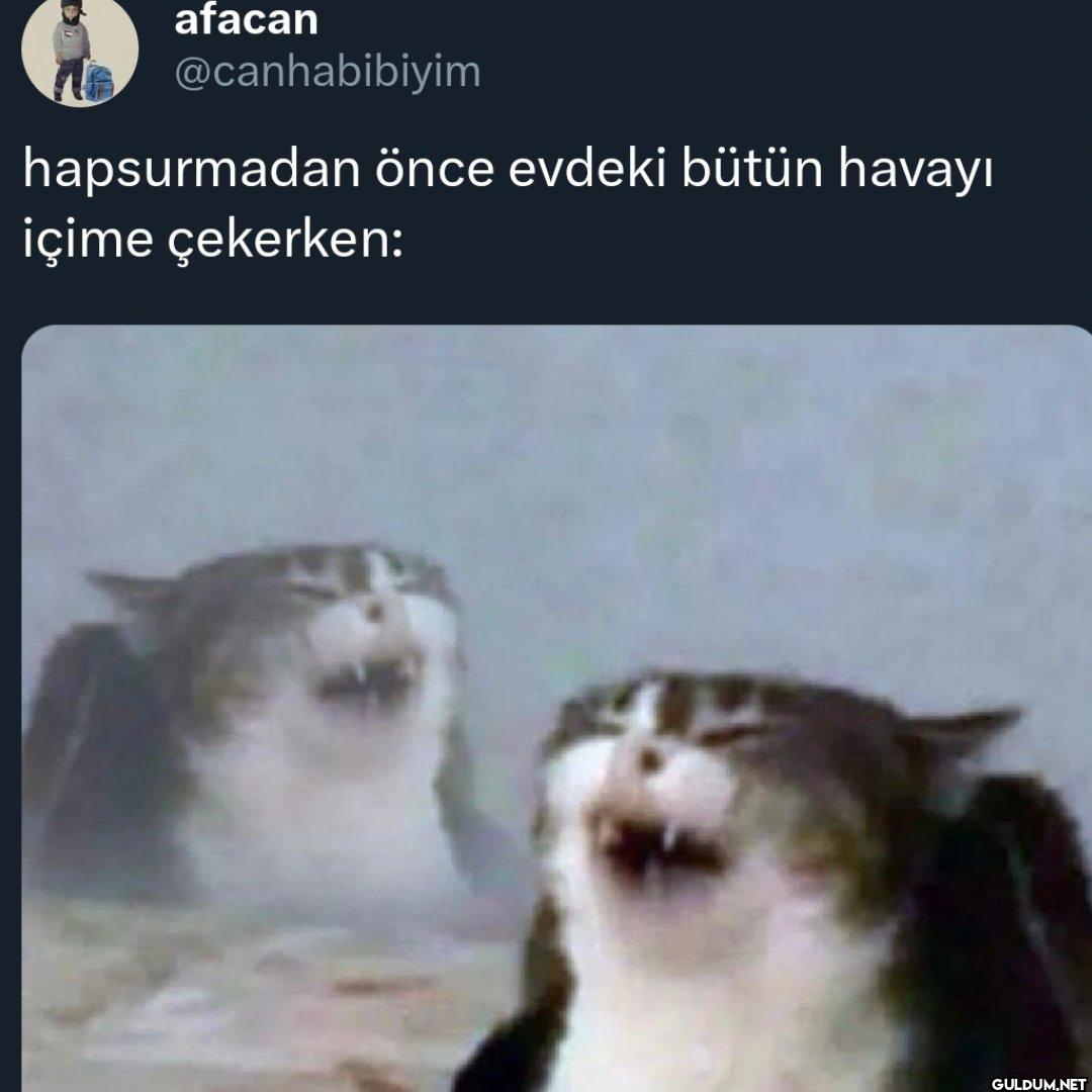 hapsurmadan önce evdeki...