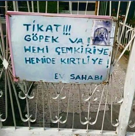 TİKAT !!!
GÖBEK VA !
HEMİ...