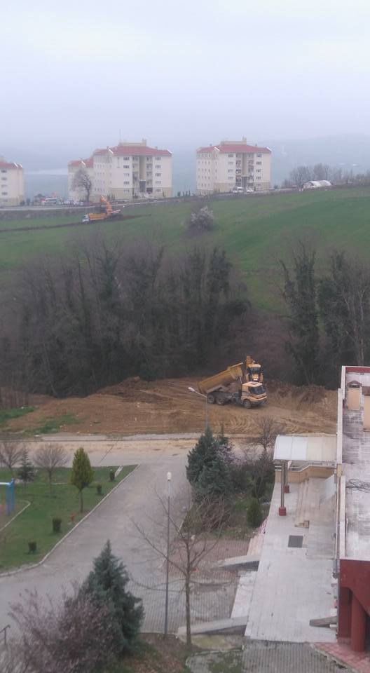 O son yeşillikler de o...