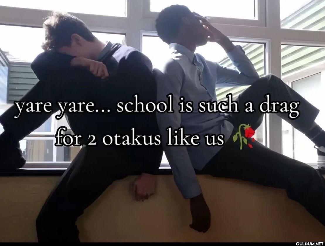 yare yare... school is...