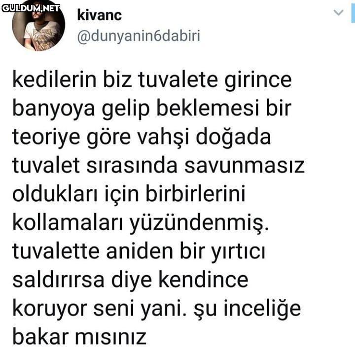 Biz sizi hak edecek ne...
