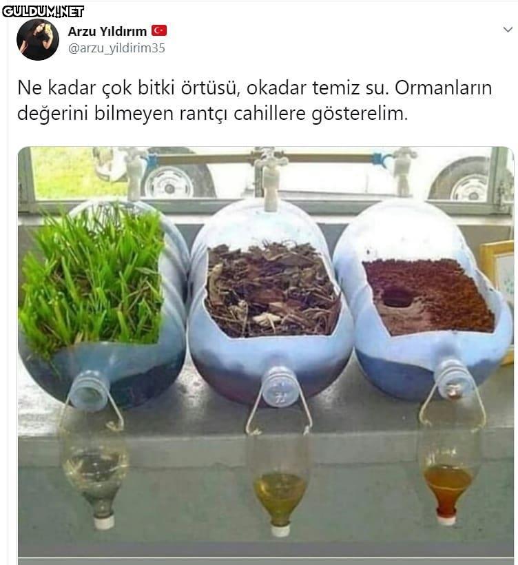 Ne kadar çok bitki örtüsü,...