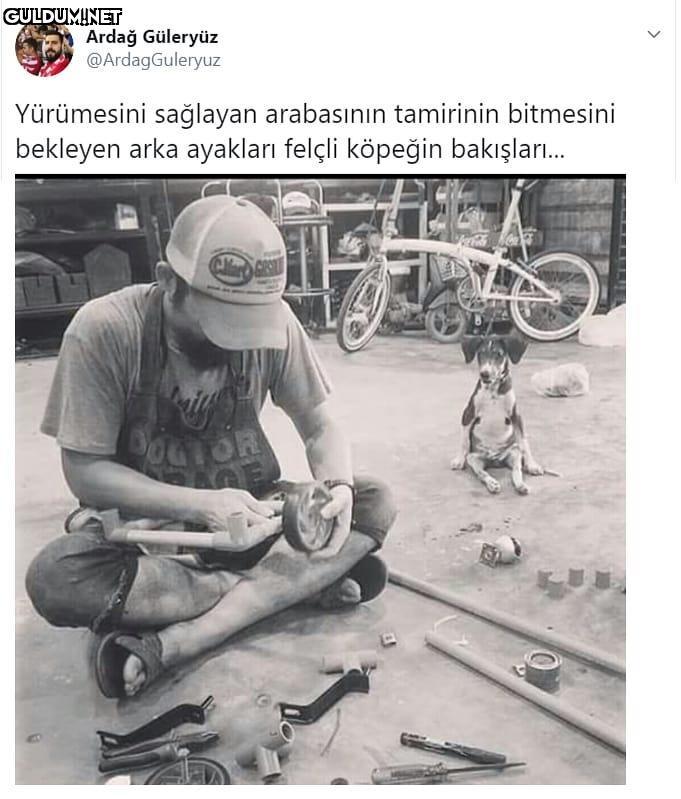 Yürümesini sağlayan...