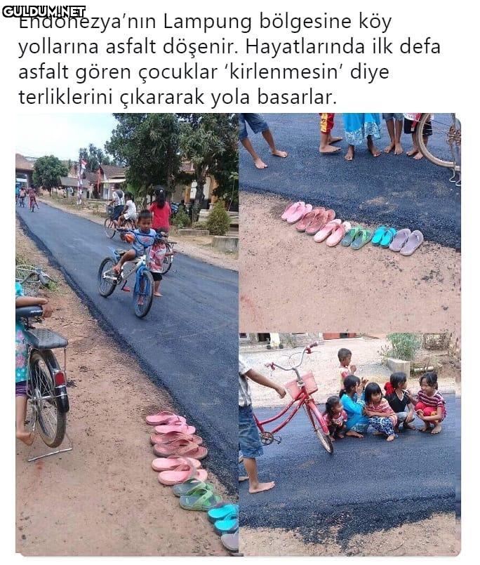 Endonezya'nin Lampung...