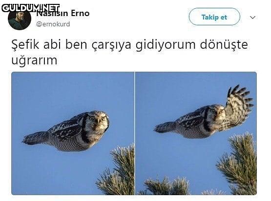 Şefik abi ben çarşıya...