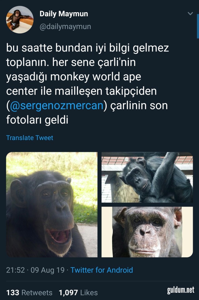 Maymun çarli şu an napiyo...