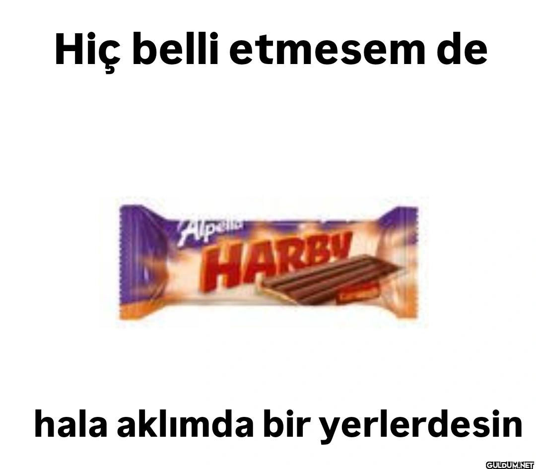 Hiç belli etmesem de Alpe...