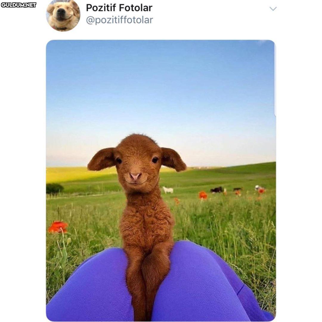 Pozitif Fotolar
@pozitiffotolar