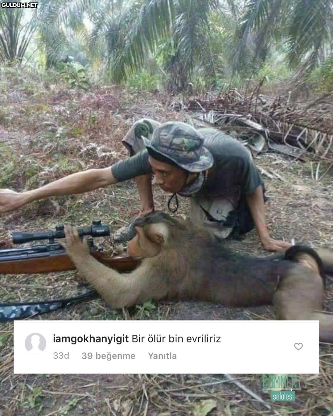 comment şelalesi 8202...