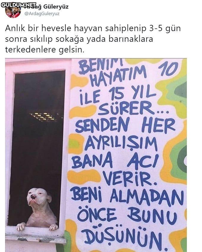 Ardağ...