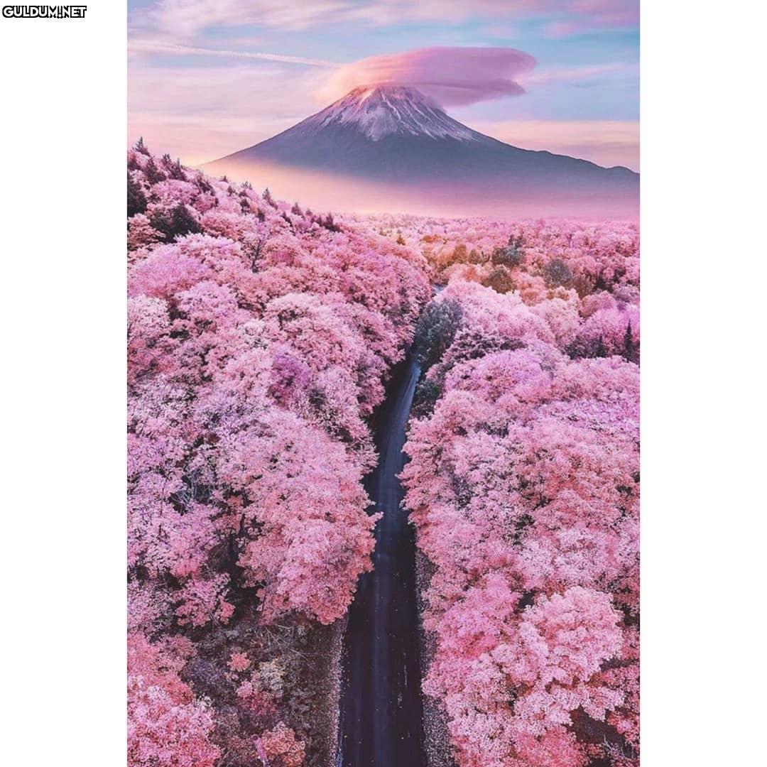 Japonya - Fuji Dağı,...