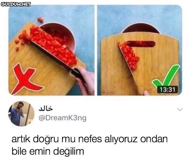doğru bildiğim her şey...